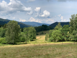 Údolí pod Brčálníkem