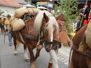 Šumavští středověcí soumaři půjdou poprvé s koňmi a obilím z Rakouska do Německa