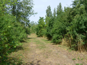 U rokycanského skateparku vyroste nová pumptracková dráha a napojí se na cyklostezku