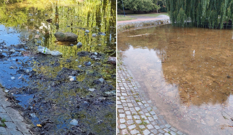 Špinavé a zapáchající jezírko drtivě kritizované veřejností je už minulostí. Nečistilo se kvůli pulcům a žábám