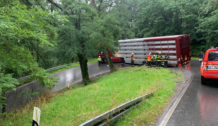 Kamion převážející živá telata se zasekl v ostré serpentině při sjezdu z kopce. Totálně zablokoval silnici