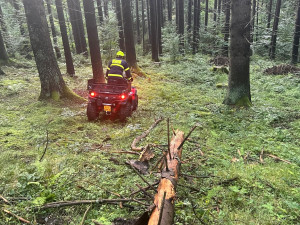 Při obrovské pátrací akci po ztraceném autistovi najezdili horští záchranáři přes 1000 kilometrů