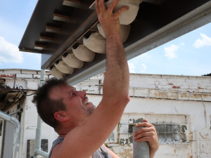 Jiřičky si oblíbily umělá hnízda u kravína, ochránci zvířat jim tam proto nainstalovali další řadovku