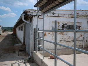 Jiřičky si oblíbily umělá hnízda u kravína, ochránci zvířat jim tam proto nainstalovali další řadovku