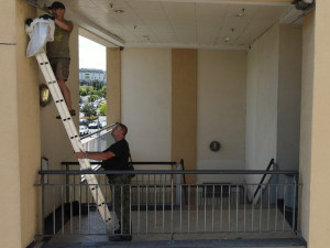 Umělá hnízda jsou již několik let také na objektu OC Olympia v Plzni