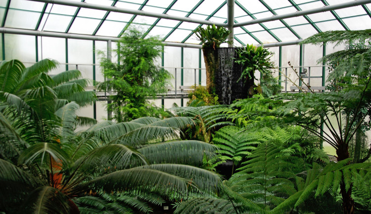 Elektronické vstupenky do botanické zahrady koupí senioři za nižší cenu