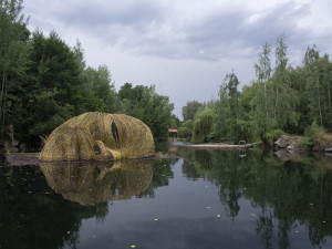 Tajemná hlava plující nad vodou vyvolává u lidí nadšené reakce. Na hladině se úchvatně zrcadlí ráno i večer