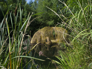 Tajemná hlava plující nad vodou vyvolává u lidí nadšené reakce. Na hladině se úchvatně zrcadlí ráno i večer