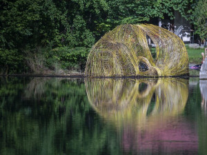 Tajemná hlava plující nad vodou vyvolává u lidí nadšené reakce. Na hladině se úchvatně zrcadlí ráno i večer