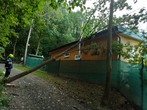 Silné bouřky zasáhly západní Čechy, ulice se ocitly pod vodou, hasiči likvidují popadané stromy