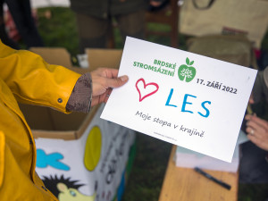 Loňského stromsázení v Brdech se zúčastnily tři tisíce dobrovolníků