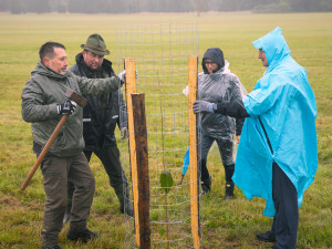 Loňského stromsázení v Brdech se zúčastnily tři tisíce dobrovolníků