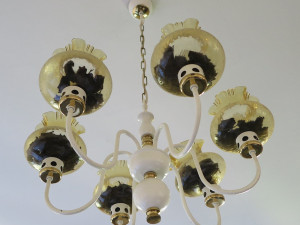 Pozor při večerním větrání, tisíce netopýrů při svých letních záletech berou útokem byty i domy