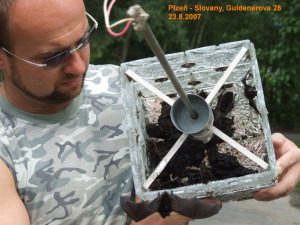 Pozor při večerním větrání, tisíce netopýrů při svých letních záletech berou útokem byty i domy