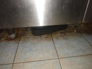 Prostory bistra v době, kdy tam byla na kontrole inspekce