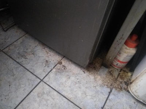 Prostory bistra v době, kdy tam byla na kontrole inspekce