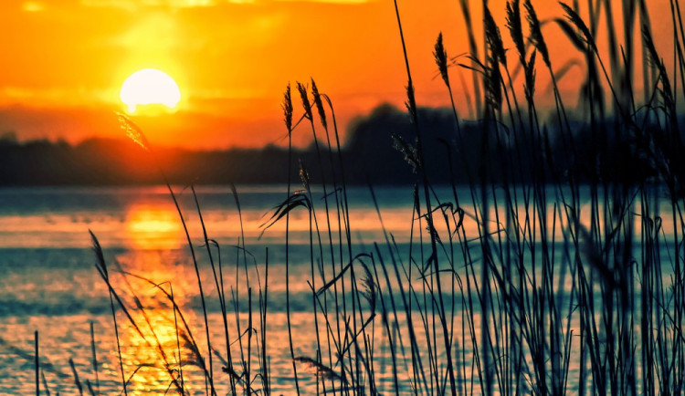 size4-16920952423307-207-rok-2023-bude-mozna-vubec-nejteplejsi-a-rok-2024-bude-jeste-teplejsi