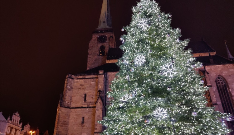 Letní prázdniny ještě neskončily a město už hledá vánoční strom, který bude dělat parádu na náměstí