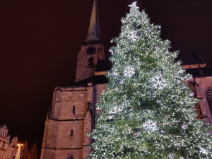 Letní prázdniny ještě neskončily a město už hledá vánoční strom, který bude dělat parádu na náměstí
