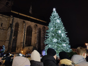 Loni zdobila náměstí jedle ojíněná