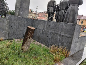 Lidé a psi umořili močením lípu, která rostla nad plzeňským památníkem na náměstí T.G.M. Město ji muselo pokácet