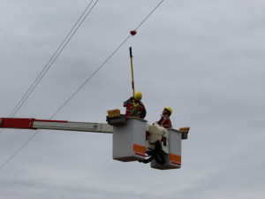 Energetici s ochranáři dávají na dráty vysokého napětí výstražné koule, aby neumírali ptáci