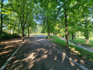 U oblíbeného Košuteckého jezírka vznikne zázemí pro dětskou skupinu i bistro pro veřejnost