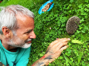 Ježkům se u nás na zahradě líbí a nám se líbí jejich společnost