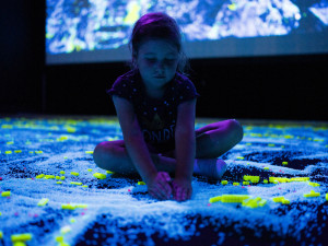 Herní expozici s LEGO® kostkami můžete v DEPO2015 navštívit až do 8. října