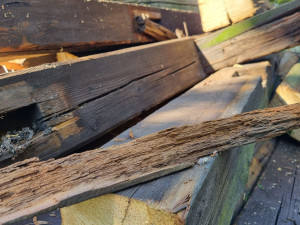 Stoletá památkově chráněná dřevěná věž na návsi v Bolevci musela k zemi, napadli ji škůdci