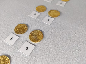 Muzeum představuje své poklady, podívejte se na unikátní mince, medaile nebo psí známky z roku 1876