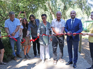 Šimpanzi v plzeňské zoo dovádějí v novém výběhu, nechybí tam prolézačky, lana a vodní příkop