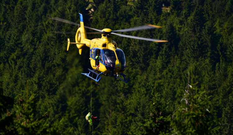 Houbařku poštípaly v lese vosy, slanili pro ni horští záchranáři z vrtulníku