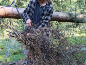 Příprava hnízda na zemi