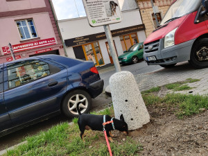 V centru města se objevily speciální psí pisoáry, město tím chce zabránit značkování fasád a stromů