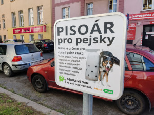 V centru města se objevily speciální psí pisoáry, město tím chce zabránit značkování fasád a stromů
