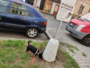 V centru města se objevily speciální psí pisoáry, město tím chce zabránit značkování fasád a stromů
