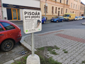 V centru města se objevily speciální psí pisoáry, město tím chce zabránit značkování fasád a stromů