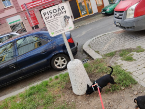 V centru města se objevily speciální psí pisoáry, město tím chce zabránit značkování fasád a stromů