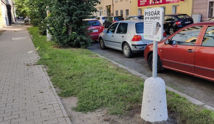 V centru města se objevily speciální psí pisoáry, město tím chce zabránit značkování fasád a stromů