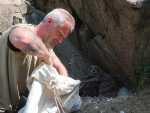 Kroužkování letošních výrů na Plzeňsku