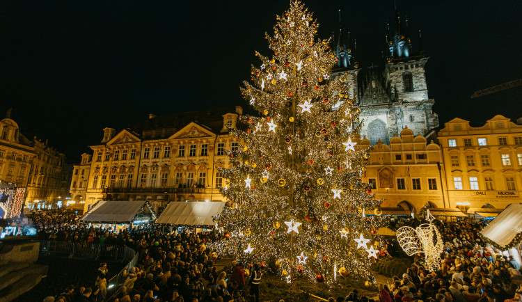 Hledá se vánoční strom pro Staromák. Třeba roste právě u vašeho domu