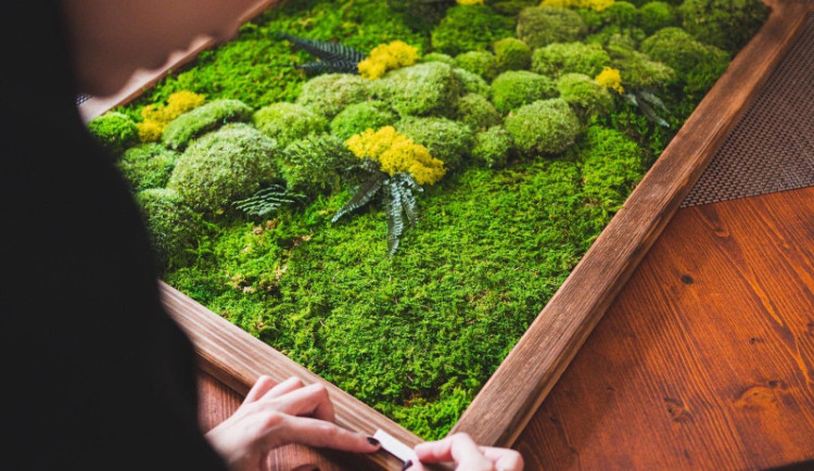 Mechy na své obrazy objednává až od polárního kruhu. Jeden od Kristýny Bízek dostal i prezident