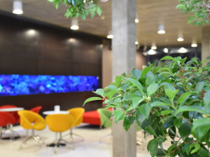 Protonovou radioterapií léčí pacienty již od roku 2012 Protonové centrum v Praze.