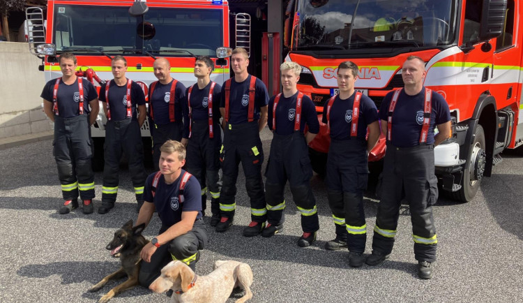 Hasič a kynolog je hlavním hrdinou dokumentu, který vypráví o důvěře mezi člověkem a zvířetem