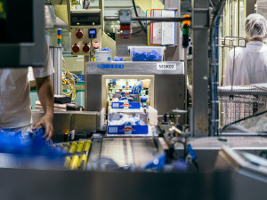 Mlékárna Klatovy oslavila 100 let od svého založení. Do celé Evropy vyváží mozarellu Galbani a sýry Président