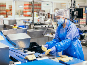 Mlékárna Klatovy oslavila 100 let od svého založení. Do celé Evropy vyváží mozarellu Galbani a sýry Président