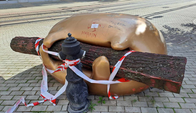 Věčnou něhu poničili vandalové. Na opravu už čeká několik měsíců