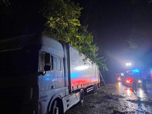 Bouře se silným větrem pustošila západ Čech, ve dvou případech najel vlak do spadlého stromu