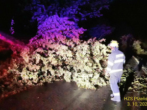 Bouře se silným větrem pustošila západ Čech, ve dvou případech najel vlak do spadlého stromu